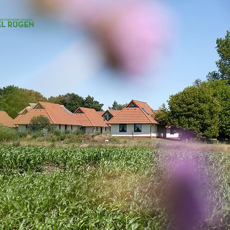 Jugendtours-Feriendorf Ummanz Exterior foto